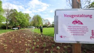 4000 neue Pflanzen im botanischen Garten: Das können Hobby-Gärtner von den Wilhelma-Profis lernen